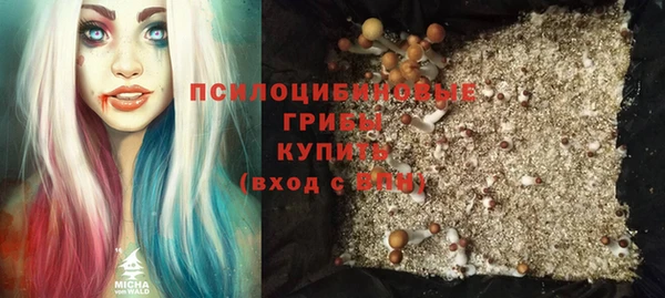 кокс Алексин