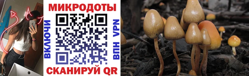 Псилоцибиновые грибы GOLDEN TEACHER  Ступино 